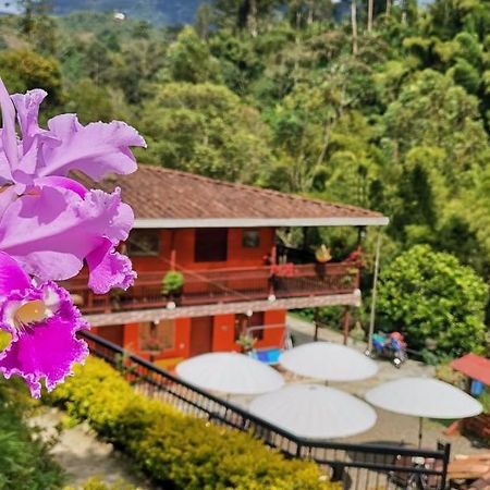 חרדין Hotel Orillas Del Pizano מראה חיצוני תמונה