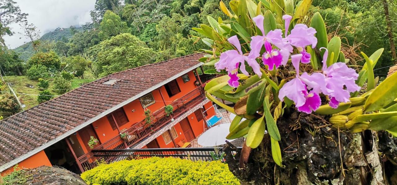 חרדין Hotel Orillas Del Pizano מראה חיצוני תמונה