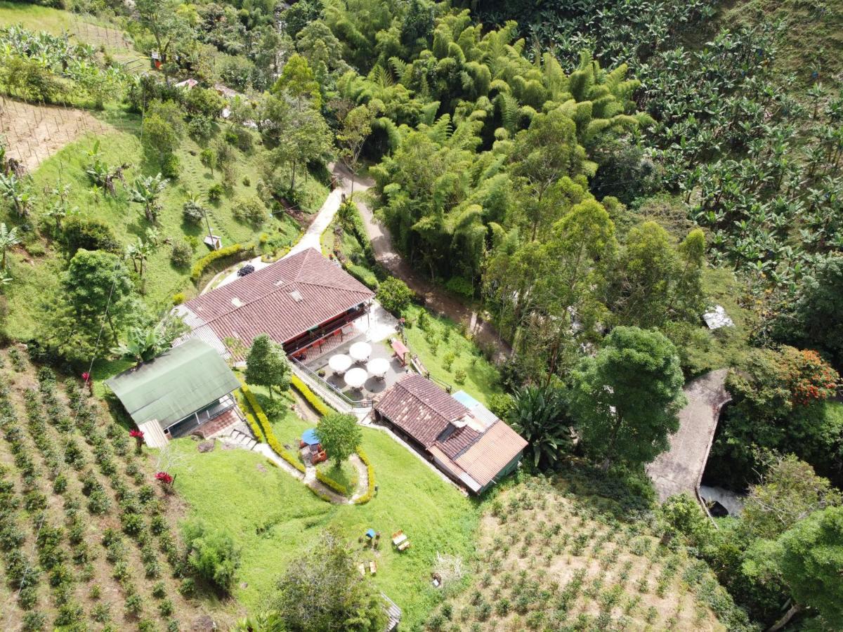 חרדין Hotel Orillas Del Pizano מראה חיצוני תמונה